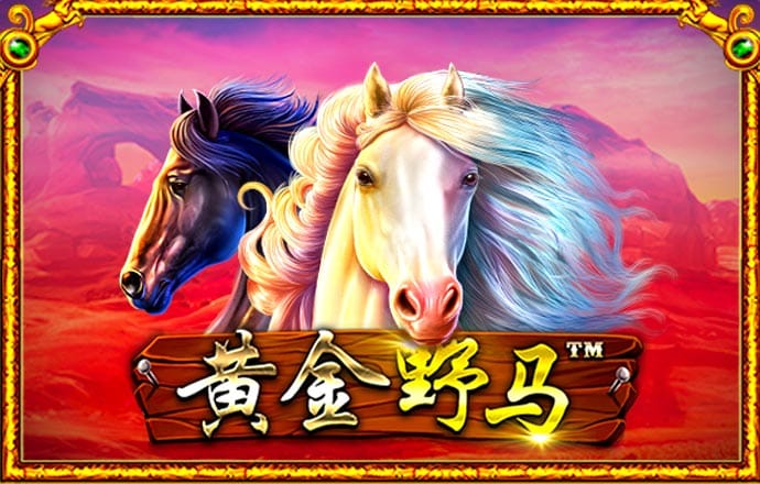 半岛bob综合登录